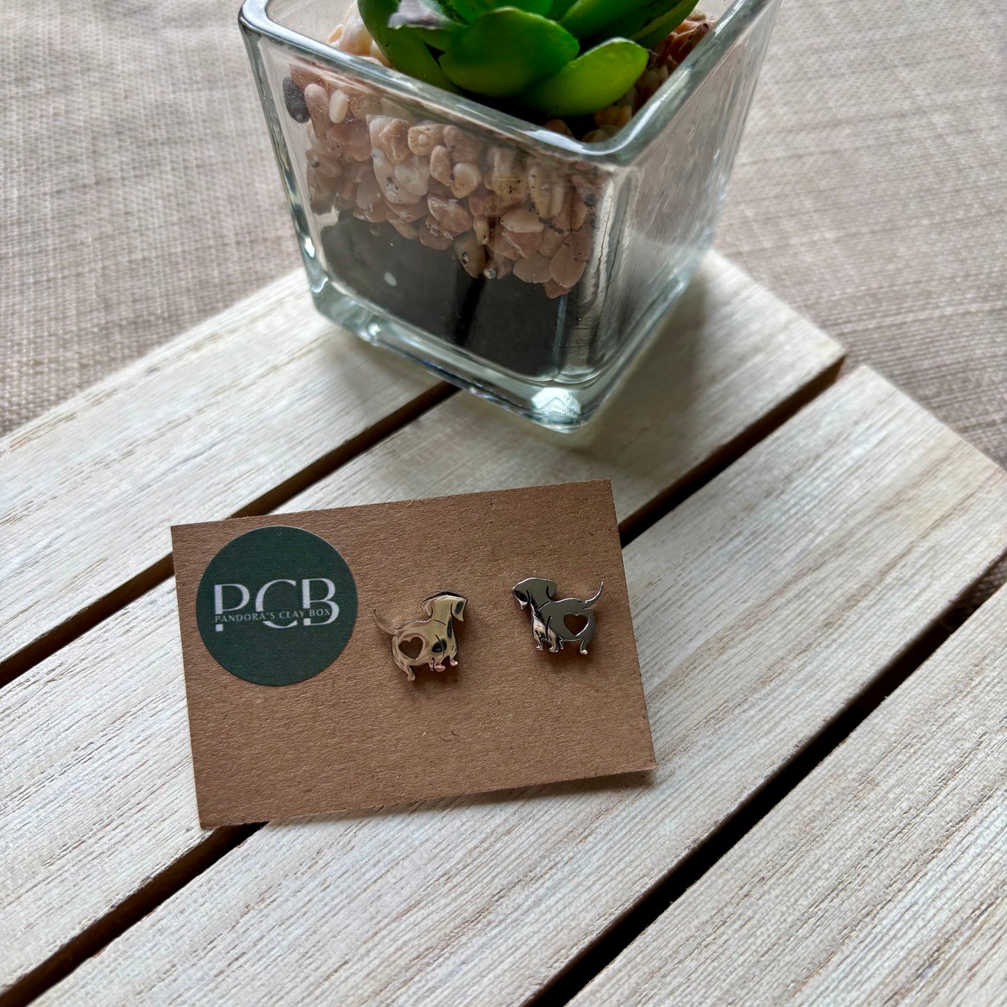 Dachshund studs
