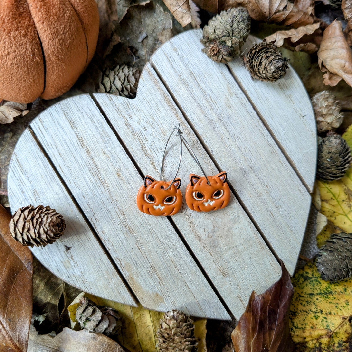 Pumpkin cats